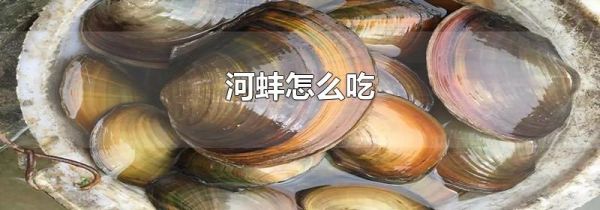 河蚌怎么吃