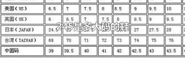 245是多大码的鞋