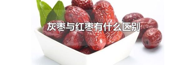 灰枣与红枣有什么区别