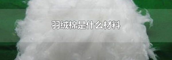 羽绒棉是什么材料