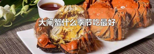 大闸蟹什么季节吃最好