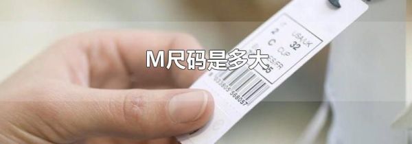 M尺码是多大