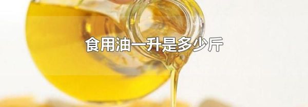 食用油一升是多少斤