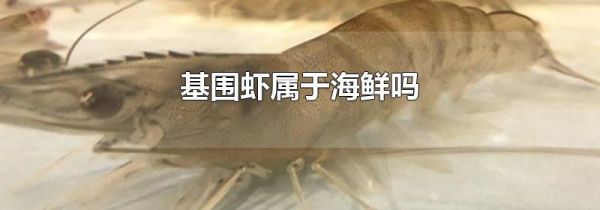基围虾属于海鲜吗