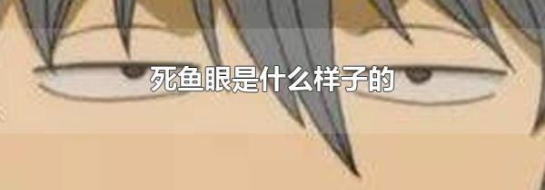 死鱼眼是什么样子的