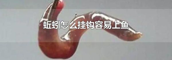 蚯蚓怎么挂钩容易上鱼