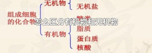 怎么区分有机物和无机物