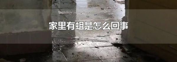 家里有蛆是怎么回事
