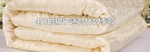 4斤的被子适合什么季节