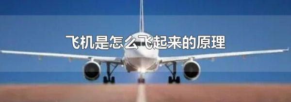 飞机是怎么飞起来的原理