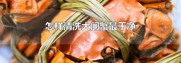 怎样清洗大闸蟹最干净