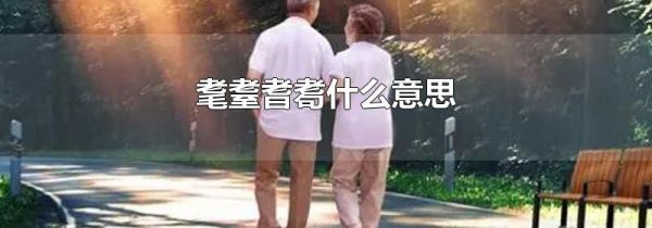 耄耋耆耈什么意思