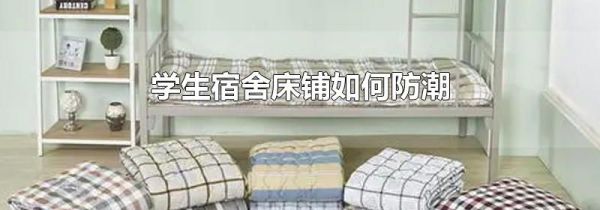 学生宿舍床铺如何防潮