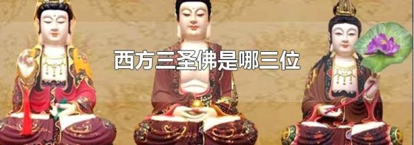 西方三圣佛是哪三位