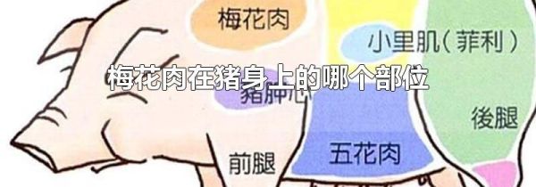 梅花肉在猪身上的哪个部位
