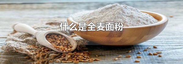什么是全麦面粉