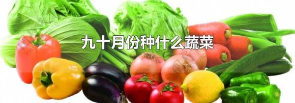 九十月份种什么蔬菜
