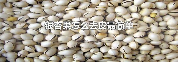 银杏果怎么去皮最简单