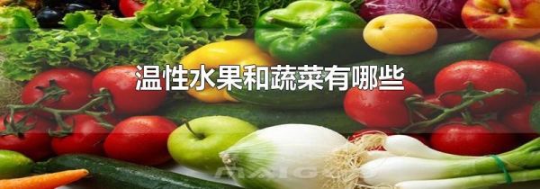 温性水果和蔬菜有哪些