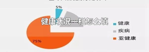 健康状况一栏怎么填