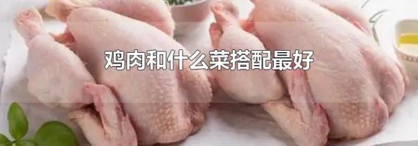 鸡肉和什么菜搭配最好