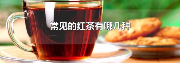 常见的红茶有哪几种