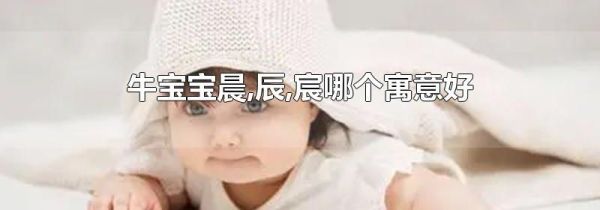 牛宝宝晨,辰,宸哪个寓意好