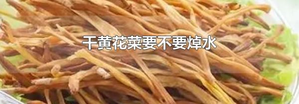 干黄花菜要不要焯水