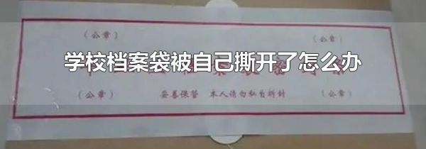 学校档案袋被自己撕开了怎么办