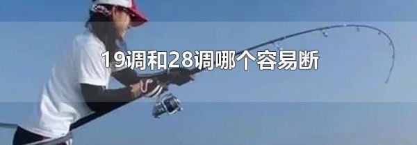19调和28调哪个容易断