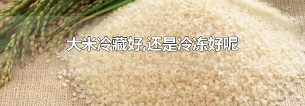 大米冷藏好,还是冷冻好呢