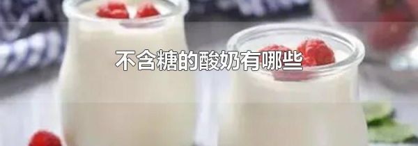 不含糖的酸奶有哪些