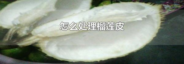 怎么处理榴莲皮