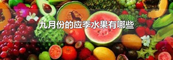 九月份的应季水果有哪些