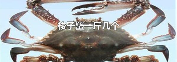 梭子蟹一斤几个