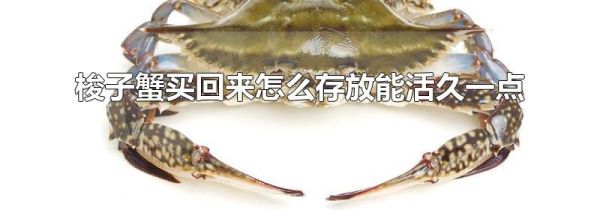 梭子蟹买回来怎么存放能活久一点