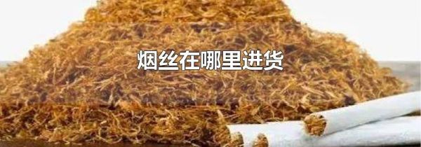烟丝在哪里进货