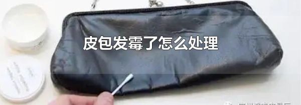 皮包发霉了怎么处理