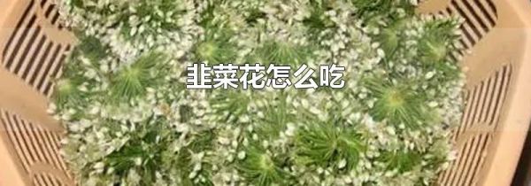 韭菜花怎么吃