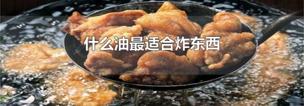 什么油最适合炸东西