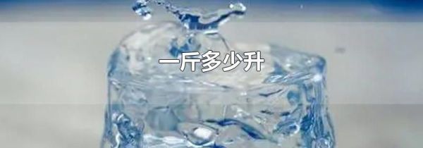 一斤多少升
