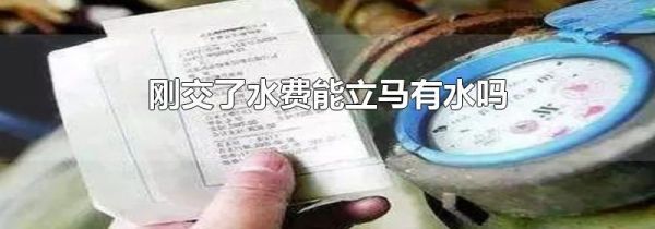 刚交了水费能立马有水吗