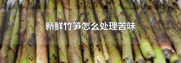 新鲜竹笋怎么处理苦味