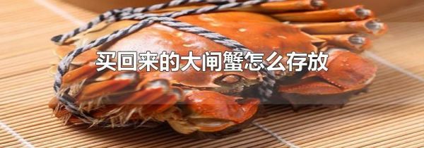 买回来的大闸蟹怎么存放