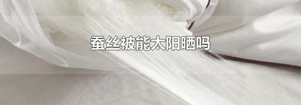 蚕丝被能太阳晒吗