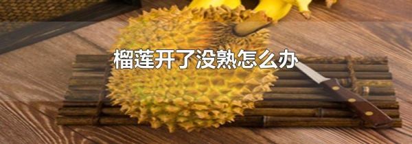 榴莲开了没熟怎么办