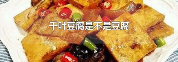 千叶豆腐是不是豆腐