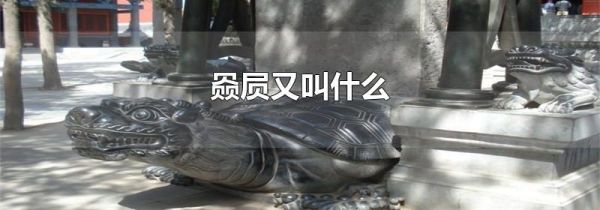 赑屃又叫什么