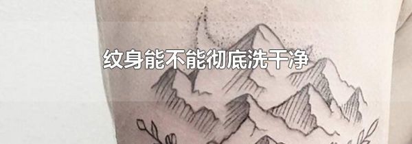 纹身能不能彻底洗干净