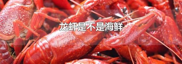 龙虾是不是海鲜